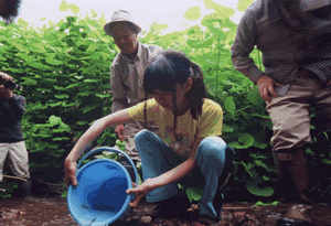 イトウ稚魚放流の様子